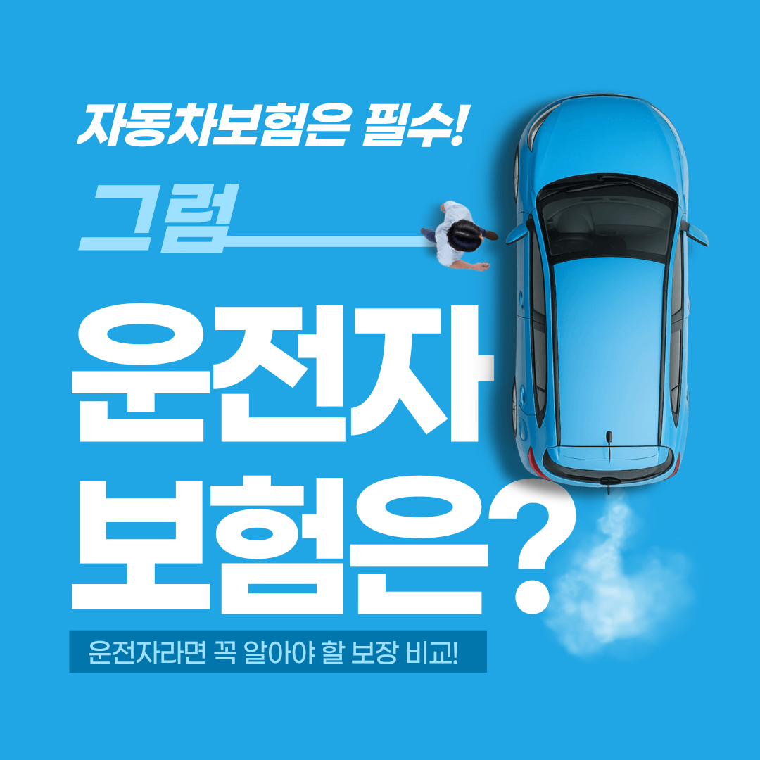 운전자보험 확인!